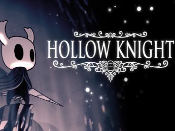 Hollow Knight Game